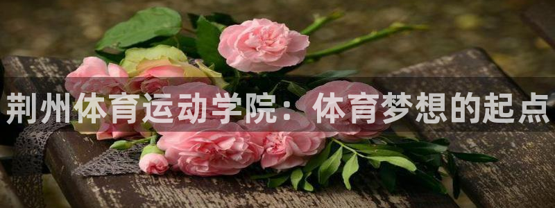 公海赌赌船官网下载娱乐：荆州体育运动学院：体育梦想的