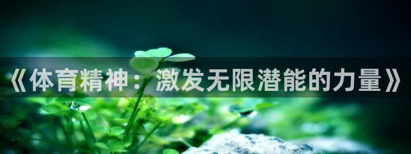 公海赌赌船官网下载：《体育精神：激发无限潜能的力量》