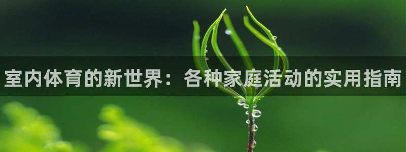 公海赌赌船官网下载是干嘛的公司：室内体育的新世界：各