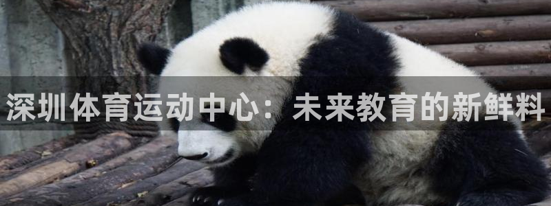 公海赌赌船官方正版app官网：深圳体育运动中心：未来