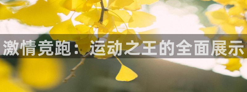 公海赌赌船官方正版app娱乐是那个系列的台子：激情竞