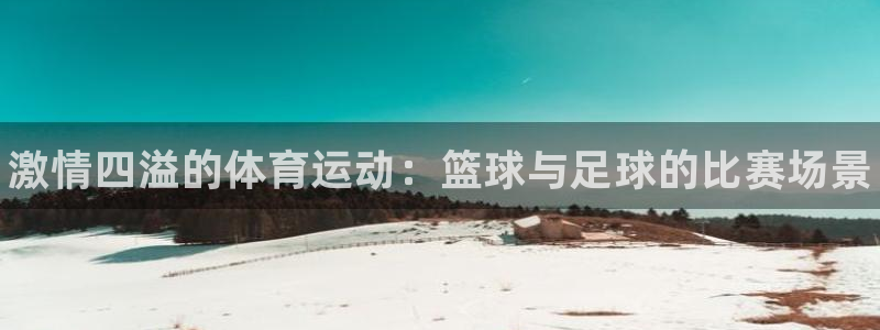 公海赌赌船官方平台体育：激情四溢的体育运动：篮球与足