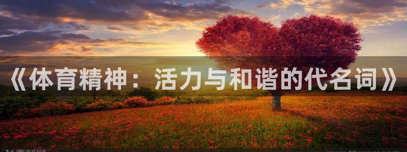 公海赌赌船官方正版app代理：《体育精神：活力与和谐