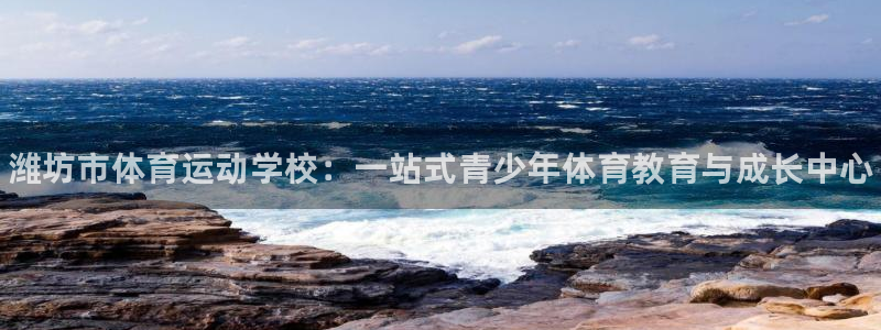 公海赌赌船官网下载招商电话地址查询：潍坊市体育运动学校：一站