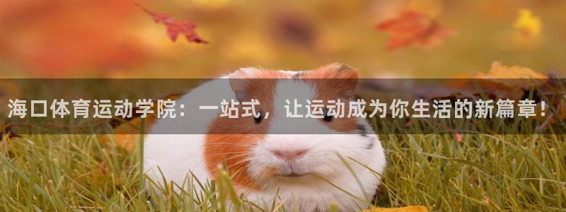 公海赌赌船官方正版app娱乐是那个系列的台子：海口体育运动学