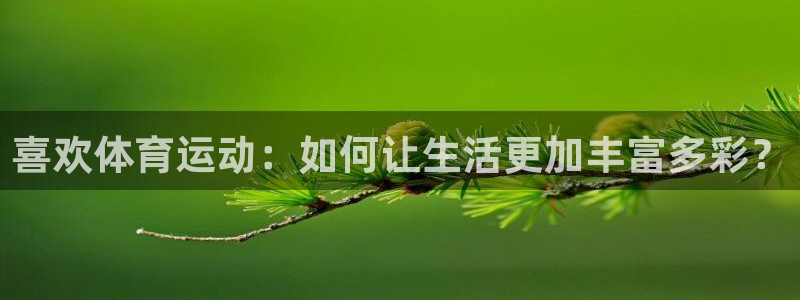 公海赌赌船官方正版app集团E.ON