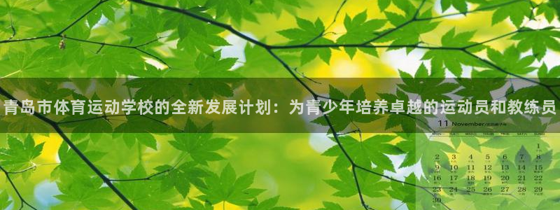 德国公海赌赌船官方正版app集团：青岛市体育运动学校的全新发