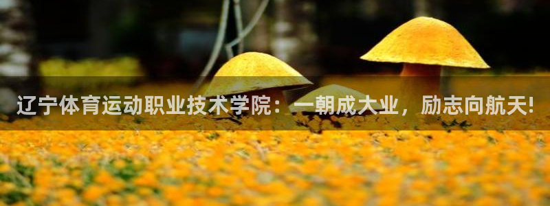 公海赌赌船官方正版app集团官网首页：辽宁体育运动职业技术学