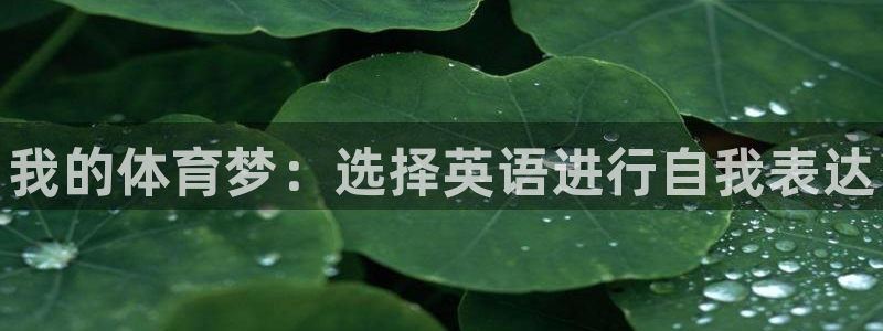 公海赌赌船官网下载招商