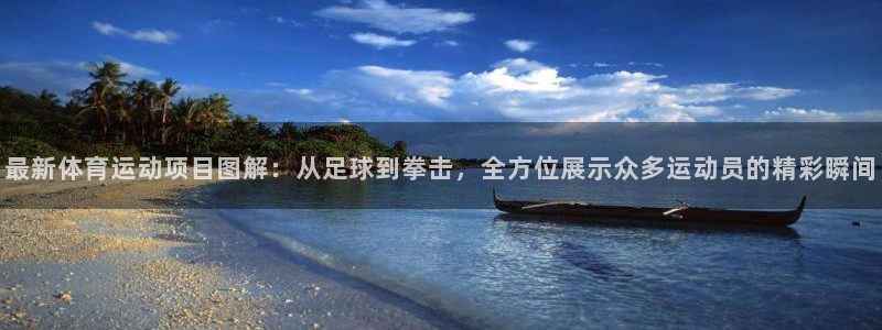 公海赌赌船官方集团官网：最新体育运动项目图解：从足球到拳击，