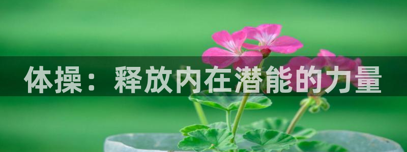 公海赌赌船官网下载招商电话是多少号码