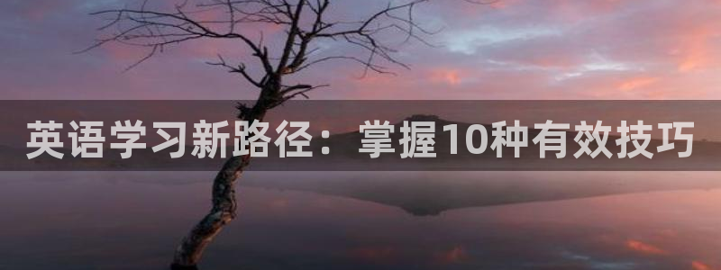 公海赌赌船官方正版app神州：英语学习新路径：掌握1