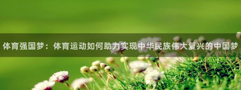 公海赌赌船官方正版app新能源