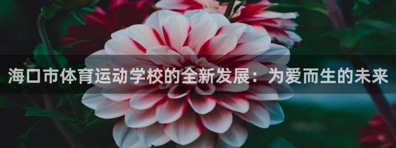 公海赌赌船官方正版app娱乐首页官网下载：海口市体育运动学校