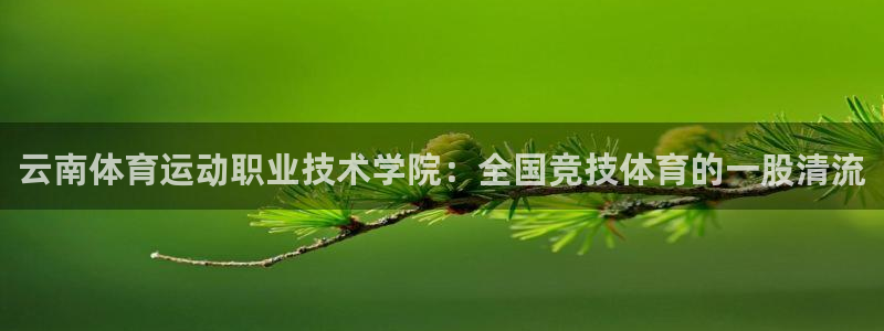 公海赌赌船官网下载平台是正规平台吗知乎：云南体育运动职业技术